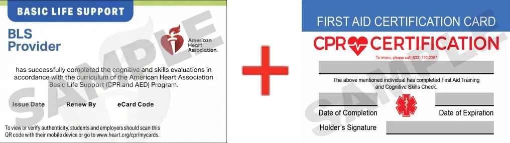 Sample American Heart Association AHA BLS CPR Card Certification and First Aid Certification Card from CPR Certification Little Rock