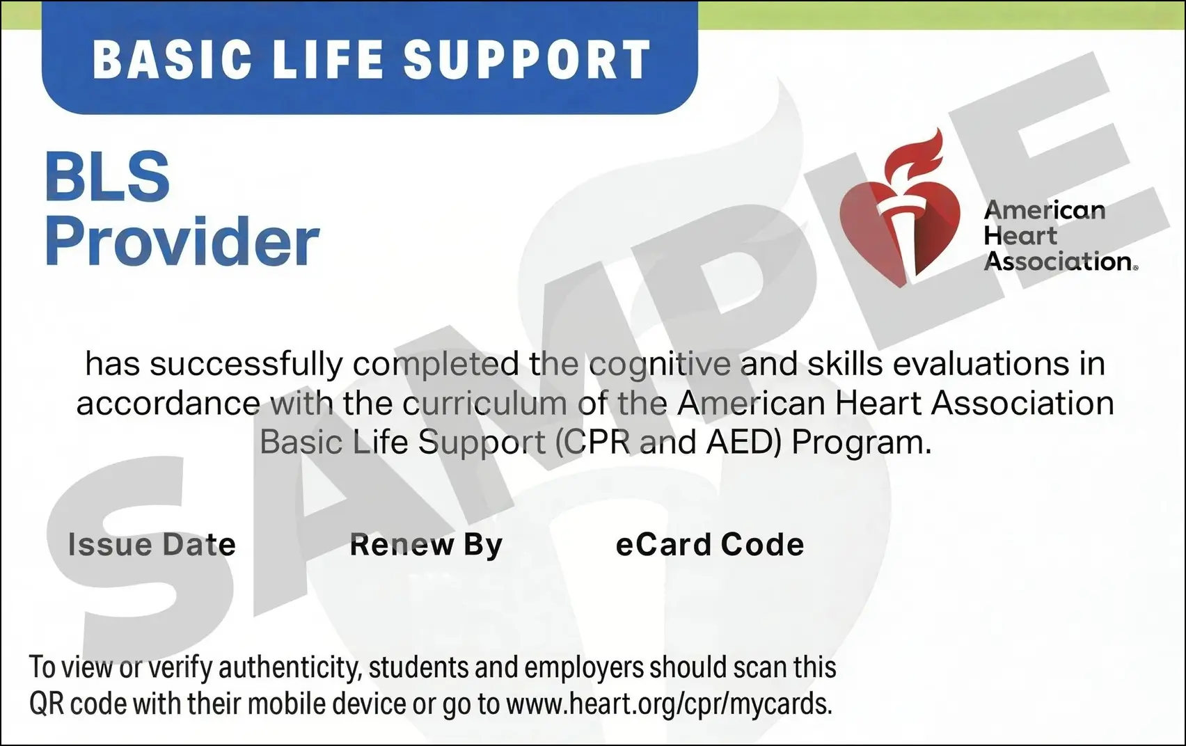 Sample American Heart Association AHA BLS CPR Card Certification from CPR Certification Little Rock